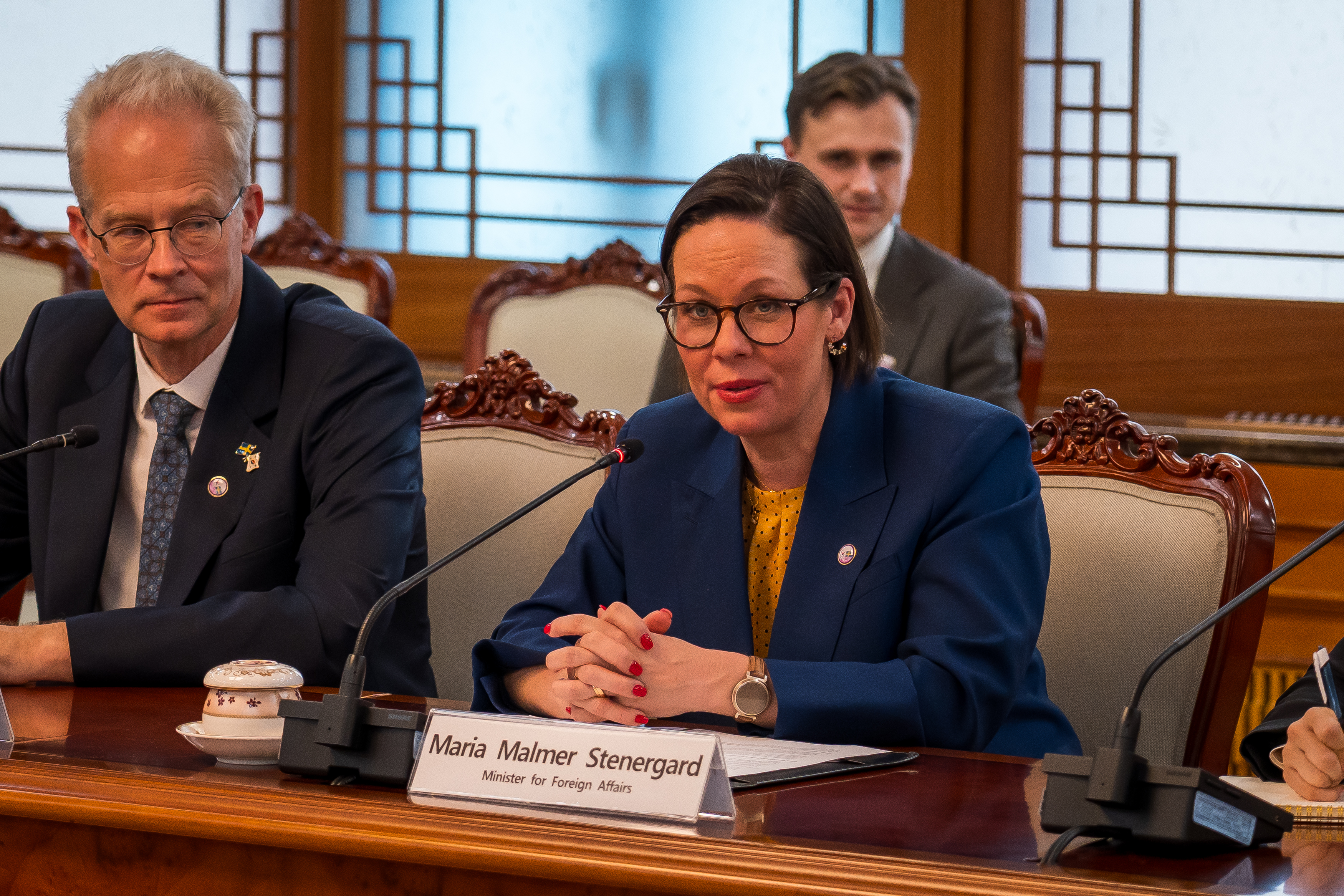 Minister for Foreign Affairs Maria Malmer Stenergard speaking while sitting at a table.