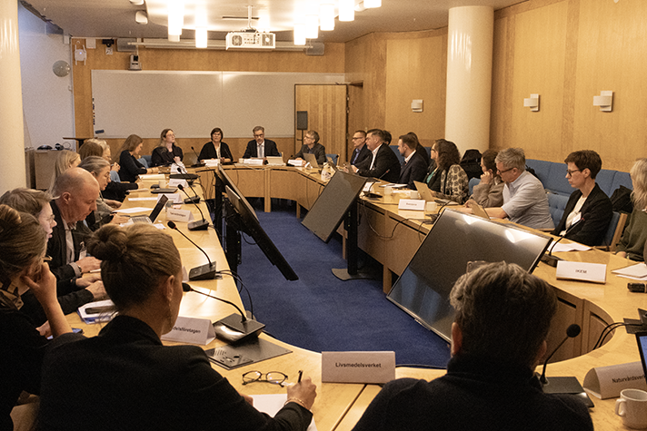 Participants sitting around a conference table.