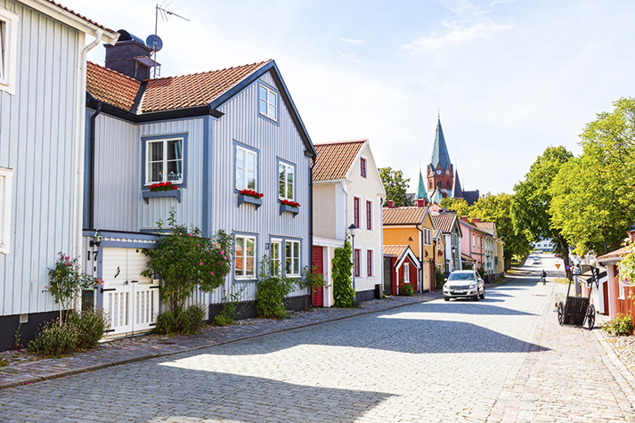 Image depicting wooden houses along a paved streeet
